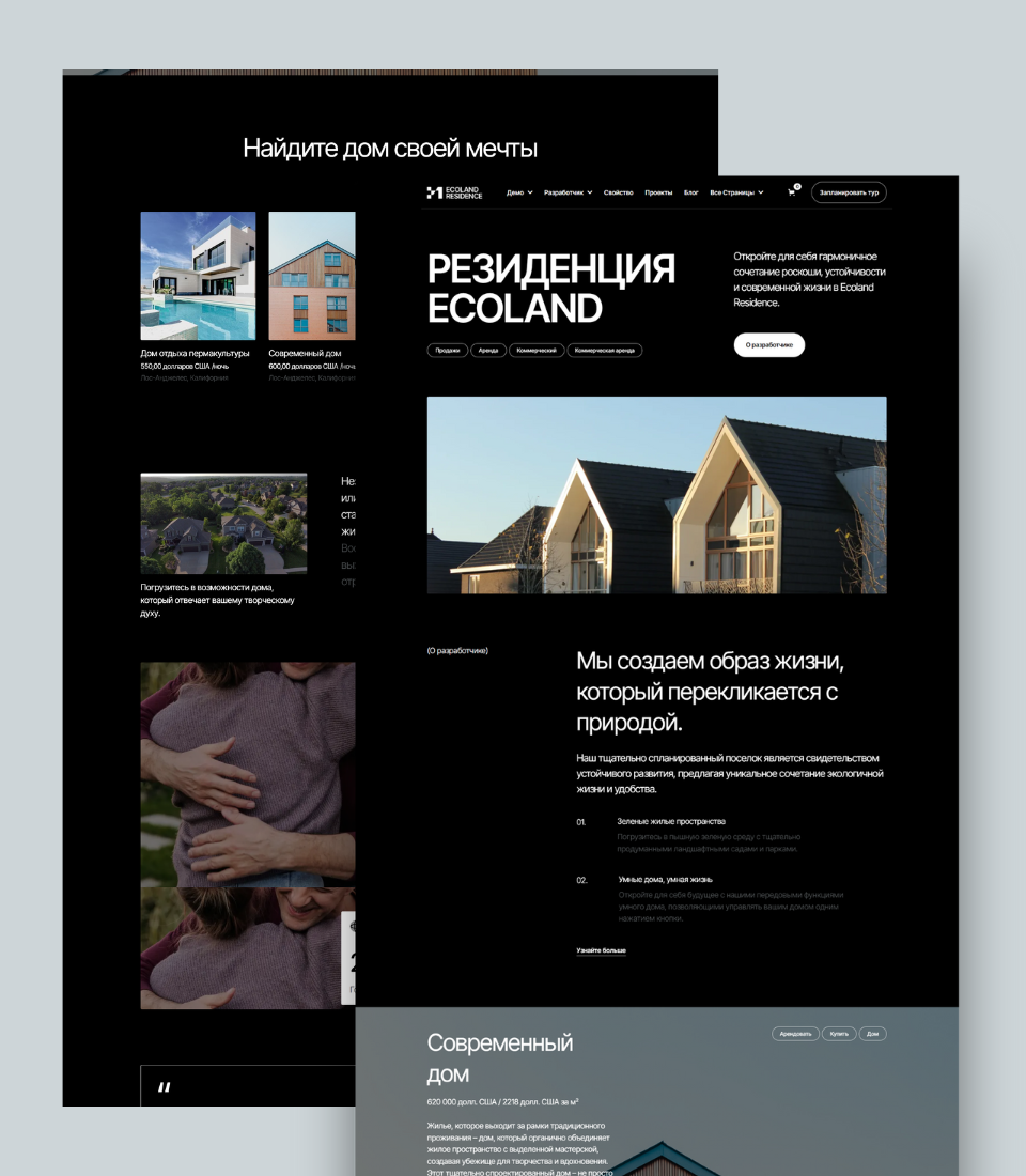 Демонстрация изображения проекта